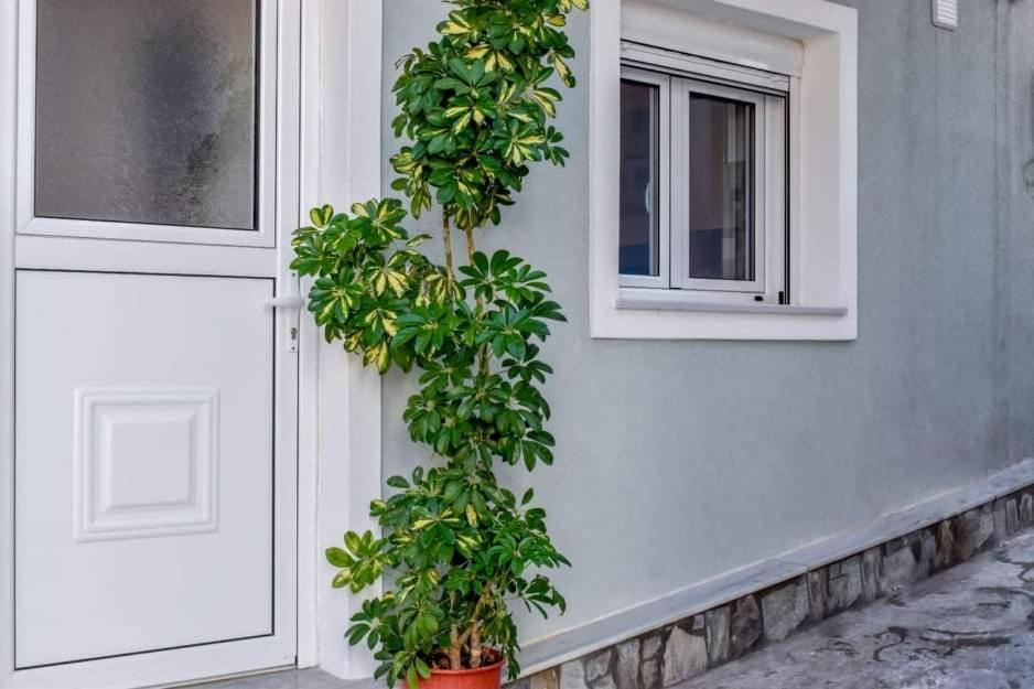 Klaidis House Apartment Skiathos Town Bagian luar foto